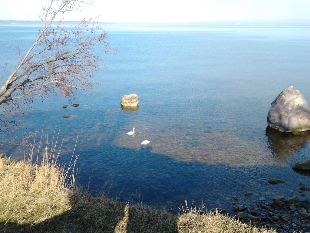 Oti Guesthouse Tallinn Bagian luar foto